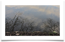 Reflective - Chris Berg